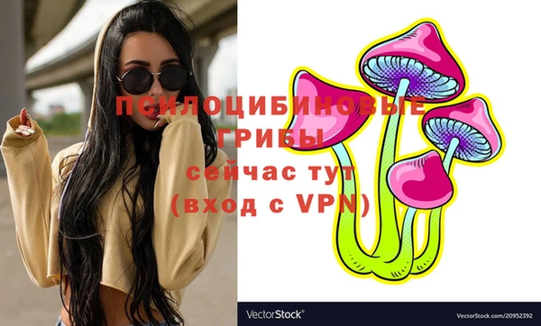 mix Новозыбков