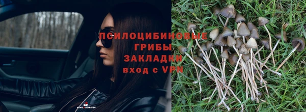 спайс Нефтекумск