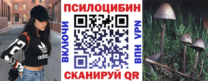 Псилоцибиновые грибы прущие грибы Серафимович